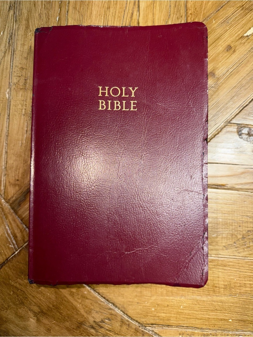 Thomas Nelson KJV Holy Bible Red Letter Edition | Burgundy Read-Along References